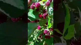 7 октября 2024 г.