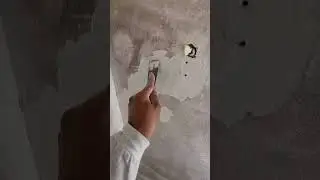 come iliminare la muffa