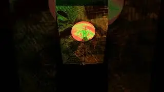 Phase Aqueuse - Auracio