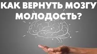 Как помочь мозгу лучше работать? Хорошая память и ноотропы. То, что вы не знали о мозге!