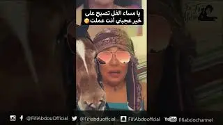 فيفي عبده و الحصان يا ترى هيحصل إيه !!