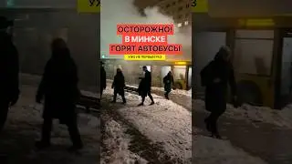 Почему горят белорусские автобусы? Лукашенко знает ответ 