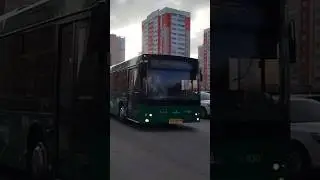 автобус МАЗ 203.945 ( 2019 г.в ), ео 315 74, борт 930, маршрут 64