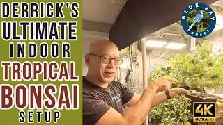 Derrick’s Ultimate Indoor Tropical Bonsai Setup! (4K)