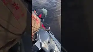 Ловили щуку , а поймали леща.