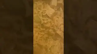 i’m hungry