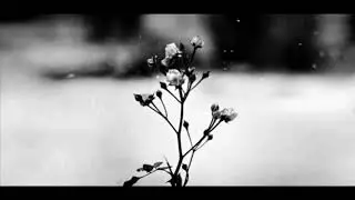 Chopin - Spring Waltz Rock Version (Mariage d'Amour)