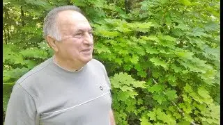 Доктор Синяков: избавляемся от упадка сил