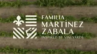 FMZ Video brand activation (eng)