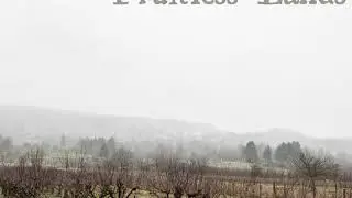 Fruitless Lands