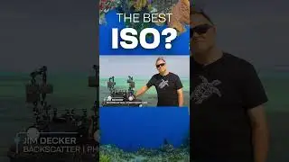 What Is The Best ISO For Underwater Photography & Video? 