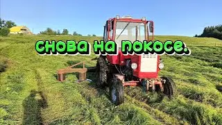 Снова на покосе.