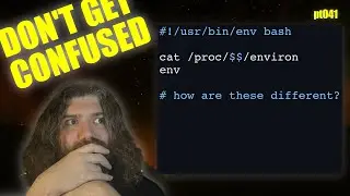Proc FS Environment - Looking at `/proc/$$/environ` on Linux/Unix - You Suck at Programming 
