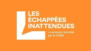 Explorez, expérimentez, débattez, cultivez votre curiosité avec les Échappées inattendues du CNRS