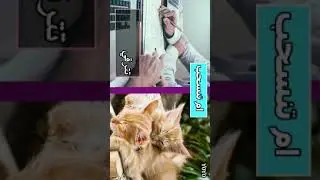اختبار لو خيروك يجنن شوفو شخصيتكم!!