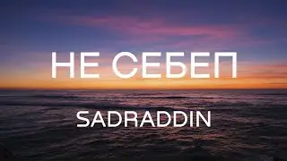 НЕ СЕБЕП - SADRADDIN (Lyrics | Текст песни)