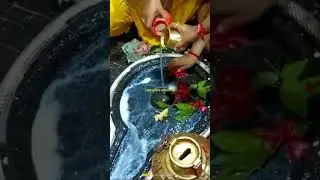 #new #bolbam #song #trending #shortvideo #viralvideo #harharmahadev #jaimahakal #newsawansong 🚩🚩🚩🚩💕💕