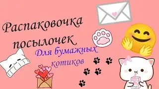 Распаковывающая посылок для бумажных котиков часть 2♡🤗💕