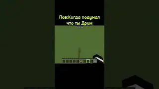 Когда подумал что ты Дрим😂😂#игры #майнкрафт #мем #shorts