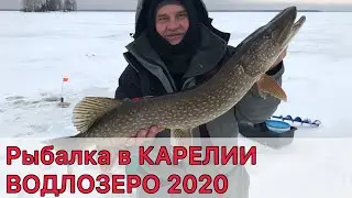 РЫБАЛКА в Карелии 2020. Водлозеро. ЩУКА, НАЛИМ, ОКУНЬ и СИГ
