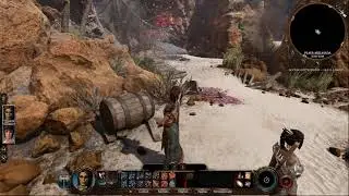 Baldur's gate 3 (Early Acces) test barbaro