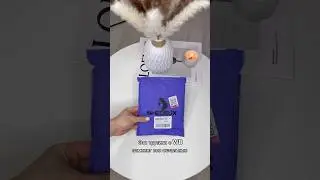 Артикул:171802620