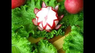 ✅Radish 👍 Preparing for the winter ❄️
