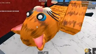 Glitching Cat In Roblox! 🐱 Roblox Mm2