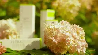 Просто натуральный крем. Just a natural cream.