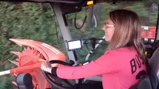 CLAAS Jaguar 12 rangs Orbis 900