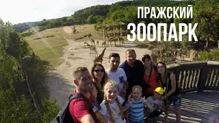 Зоопарк в Праге // Prague Zoo