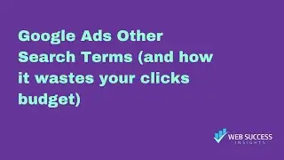Google Ads Other Search Terms