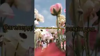 Поэзия Өлең Нұрсұлтан Әріпханұлы