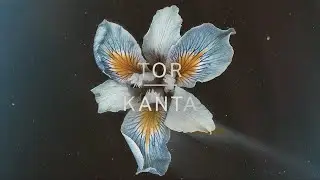 Tor - Kanta (Official Audio)