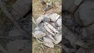 Поймали сразу на угли