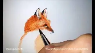 как рисовать лису