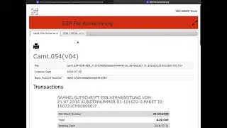 DigIntu Tech ISO 20022 CAMT0.53 CAMT.054 XML to TXT CSV Converter