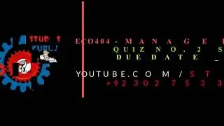 ECO404   MANAGERIAL ECONOMICS QUIZ NO  2 SOLVED WITH LECTURE HANDOUTS AND STUDY GURU MEGA FILE