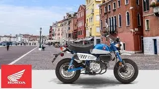 2020 Honda Monkey miniMOTO Motorcycle