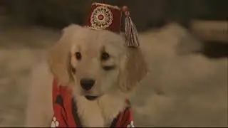 Treasure Buddies (2012) - Trailer