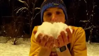 xMAS 2019 (Морская Свинка)