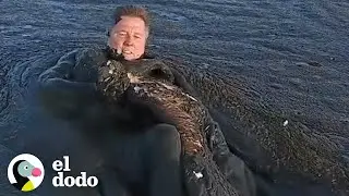 Hombre se sumerge en lodo para salvar a un águila bebé | El Dodo