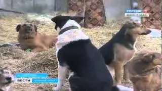 Устранение пожара приют Я ЖИВОЙ/Россия1 Южный Урал