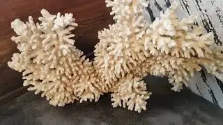 Ура! вода есть!! Скоро переезжаю!😁