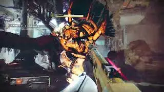 60 games of gambit in 3 days went about as expected