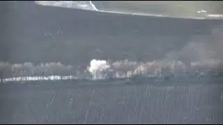 Банбера випустив гусей з біобілабараторії