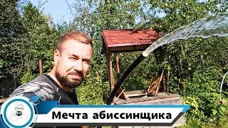 Скважина - мечта