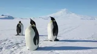 Знакомьтесь, приложение 