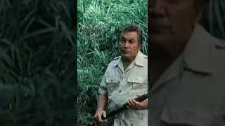 Pare! Amigo Ou Inimigo?