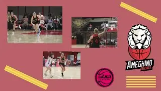 Liga Femenina Básquetbol